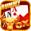 rummy iphone